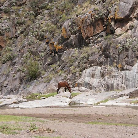 Altos Del Valle ซานอากุสติน เด บาเยแฟร์ติล ภายนอก รูปภาพ