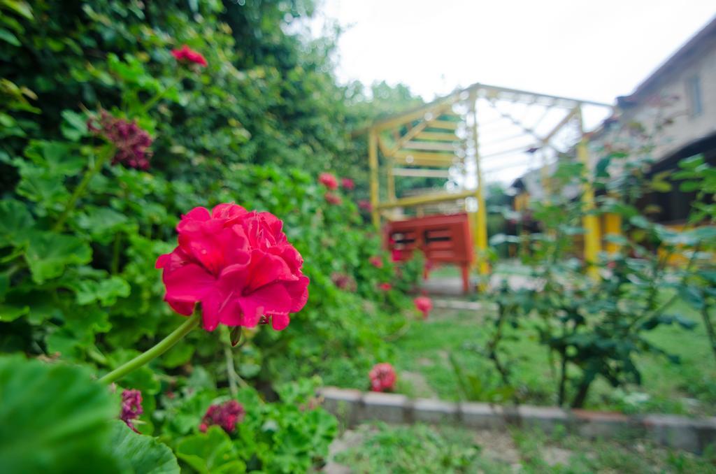 Altos Del Valle ซานอากุสติน เด บาเยแฟร์ติล ภายนอก รูปภาพ